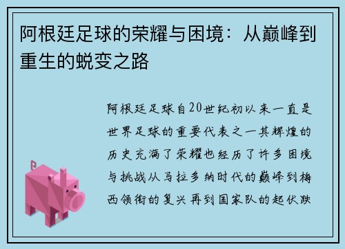 阿根廷足球的荣耀与困境：从巅峰到重生的蜕变之路