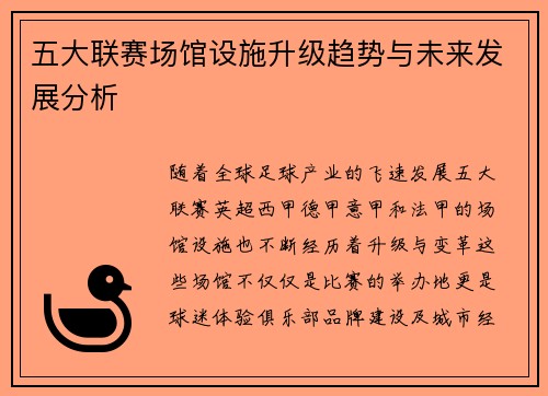 五大联赛场馆设施升级趋势与未来发展分析